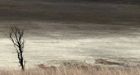Scientists: Human activity has pushed Earth beyond four of nine �planetary boundaries�
