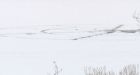 Calgary's Glenmore Reservoir ice circle: mysterious or logical explanation'