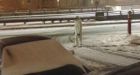 'Boston Yeti' wanders streets during snowstorm