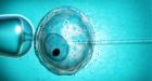 China shocks world by genetically engineering human embryos