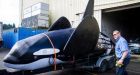 Fake orca meant to scare off sea lions runs into trouble on first day
