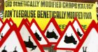 Ex-Greenpeace director denounces 'immoral' groups that campaign against GM foods