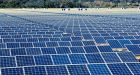 Solar flares: How renewable energy is raising hackles in rural Ontario  and across Canada
