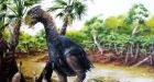 Giant, flightless birds wandered Canadian Arctic 50 million years ago