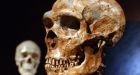 Neanderthal, human interbreeding reveals mysterious migration