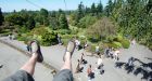 A permanent zip line likely coming to a Vancouver park this spring