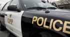 Dog that fell through ice on Cedar Creek saved by OPP