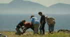 Potential Viking site found in Newfoundland