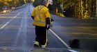 Mountie ushers wandering beaver off B.C. highway