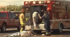 At Least 20 Stung by Swarm of Bees at Arizona Mosque