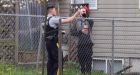 Two  more Surrey shooting incidents push total to 30 so far this year
