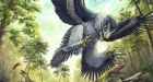 Why birds were the only dinosaurs that survived mass extinction