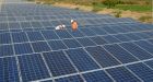 Clean energy poster child SunEdison files for bankruptcy