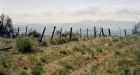 Photographer's eyes opened on epic road trip along Canada-U.S. border