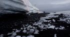 Countries reach agreement on world's largest marine reserve in Antarctica