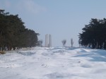 Vimy Ridge Battlefield