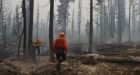 Wildfires in B.C. Cariboo combine to create province's largest blaze