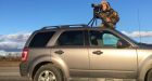 This man travelled 90,000 km across Ontario to break a bird-watching record