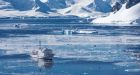 Passenger ship that ran aground in Nunavut has been refloated, company says