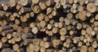 American home builders accuse lumber mills of running a 'cartel' as softwood tariffs trigger inter-industry strife