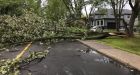 Crews work to restore power after high winds take down trees in southern Quebec