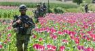 How the US military's opium war in Afghanistan was lost