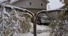 'The weather is our enemy': Manitoba snowstorm shuts highways, closes schools, snaps trees