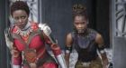 US government lists fictional nation Wakanda as trade partner