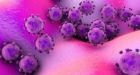 New Chinese virus 'will have infected hundreds'