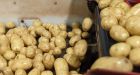 P.E.I. can resume exporting potatoes to Puerto Rico Wednesday