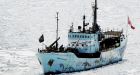 Confrontation breaks out on high seas over East Coast seal hunt