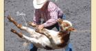 Anti-rodeo ad divides humane societies