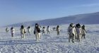 Soldiers may move in with researchers in Arctic