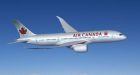 Cat goes missing on Air Canada flight