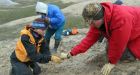 How Canada's Arctic once hosted alligators and turtles