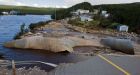 Bridge repairs set to begin in Newfoundland