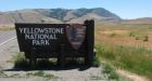 Captured US fugitive planned to overdose on drugs at Yellowstone, become bear food