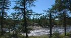 Scientists around world urge protection of boreal forests