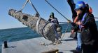 Blackbeard's cannon salvaged from ship