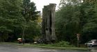 Vancouver's huge hollow tree stands tall once again