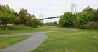 Dogs roam free, make mess in historic Africville Park