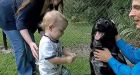 Hero Dog Saves Boy from Abusive Babysitter