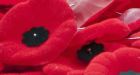 Prairie prison inmates to make Remembrance Day poppies