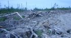 Ontario gives green light to clearcutting at Grassy Narrows