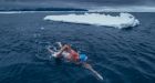 British swimmer endures Antarctic water in speedos for conservation push