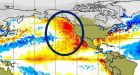 Ocean 'blob' could be responsible for warmer temperatures