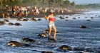 Selfie-crazed tourists prevent sea turtles from nesting in Costa Rica