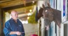 Community-owned horse at Hastings Racecourse  Cinderella story