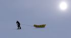 British explorer Henry Worsley dies of 'complete organ failure' on solo Antarctic trek