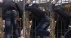 Video shows Russian man has his hand RIPPED OFF by a caged bear